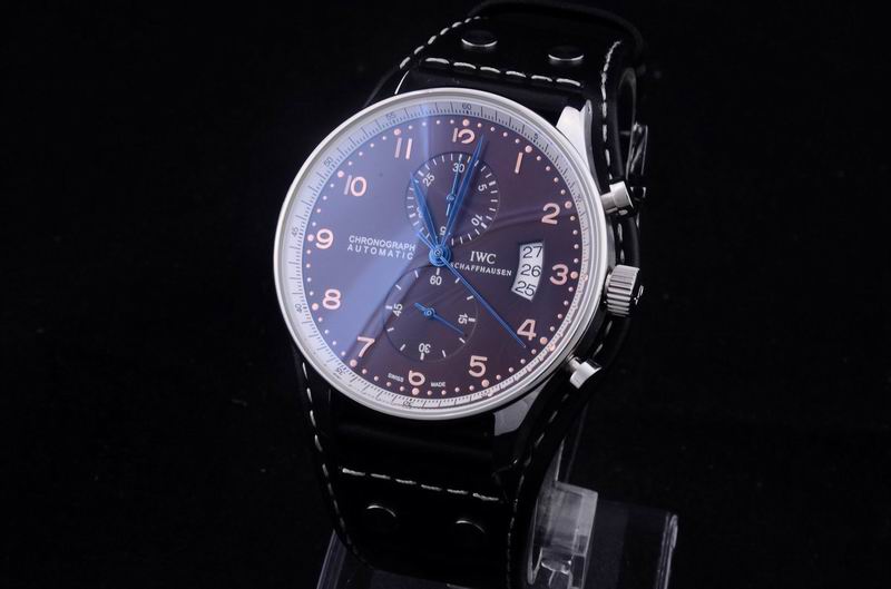 IWC watch man-310